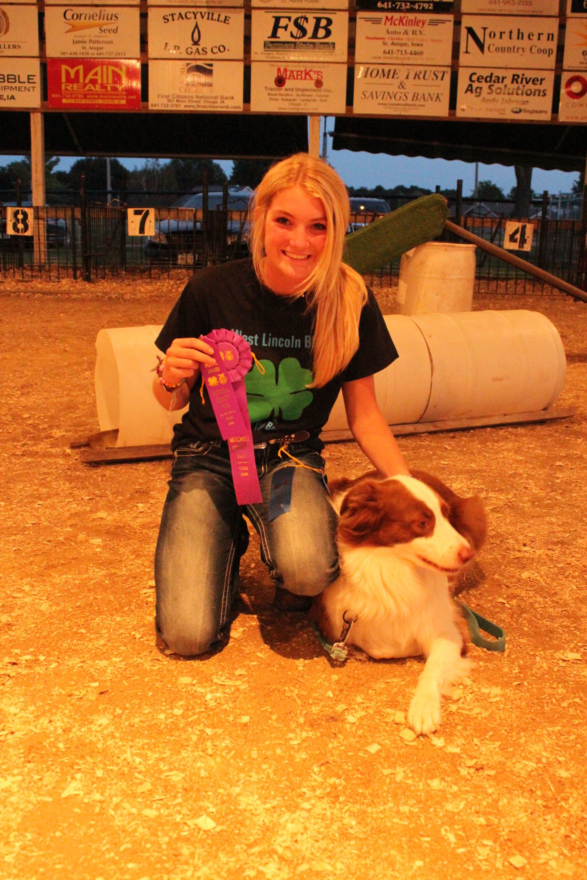 Dog Show 4